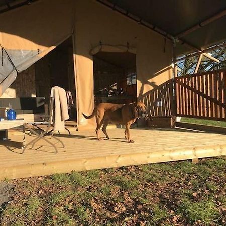 צ'לטנהם Lapwing Safari Tent מראה חיצוני תמונה